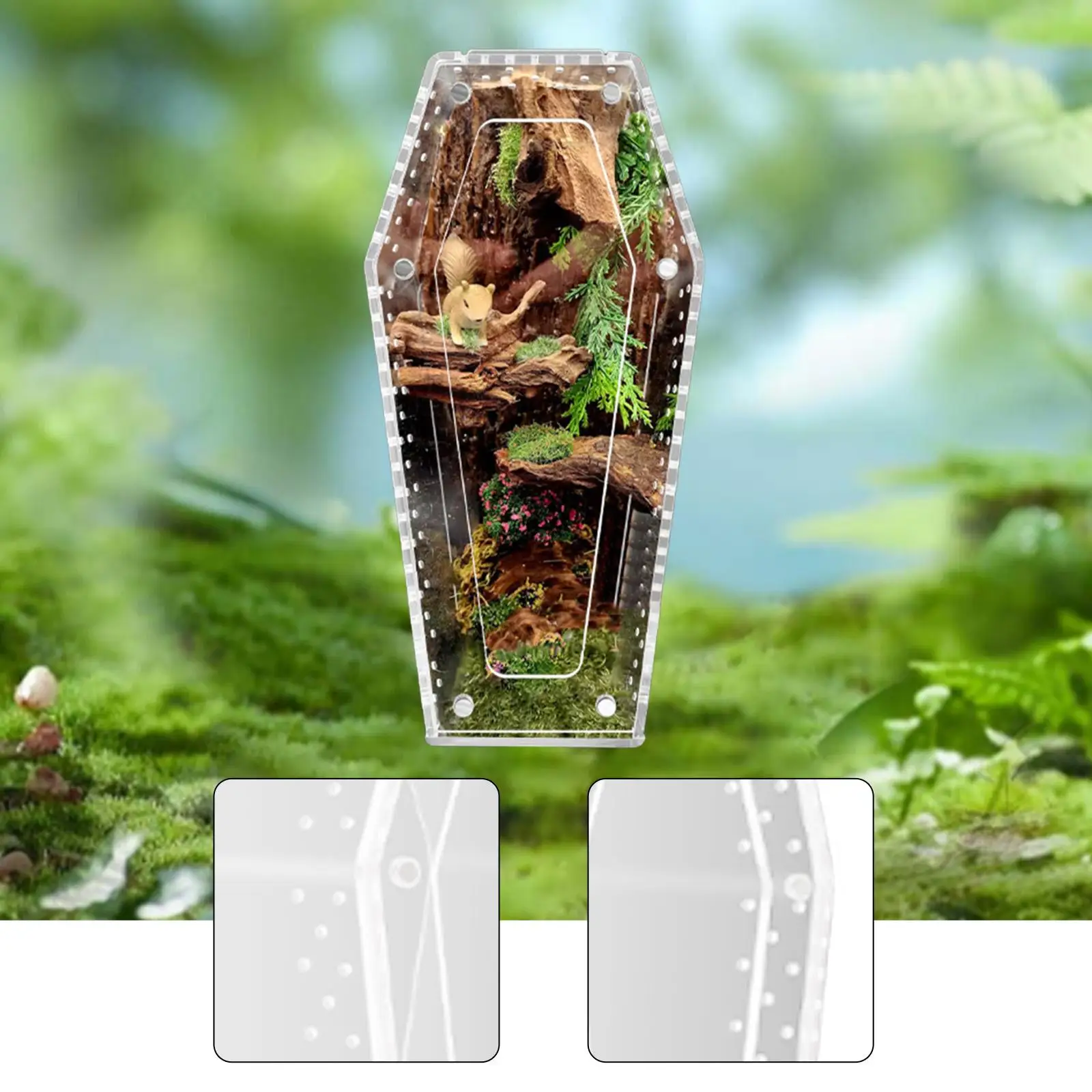 Acrylic Jumping Spider Enclosure Reptile Terrarium Spider Tank Acrylic Jumping Spider Enclosure Reptile Terrarium Spider Tank