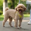Summer Mesh Harness Vest and Leash Set for Small Dogs Adjustable Puppy Cat Harness Outdoor Dog Walking Chest Strap Pets Supplies 5