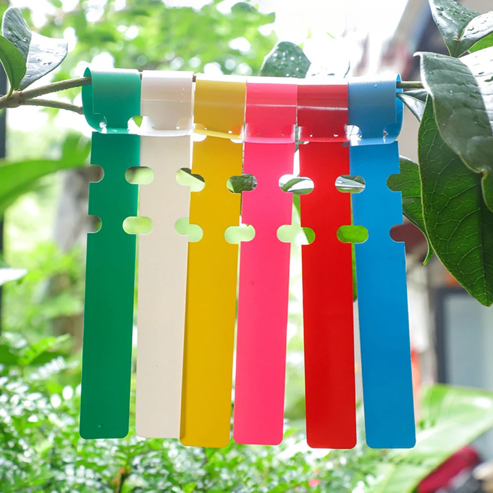 Flower Plant Labels 100PCS Pvc Waterproof Ring For Seedlings Orchids Garden Floral Markers Plastic Signboards