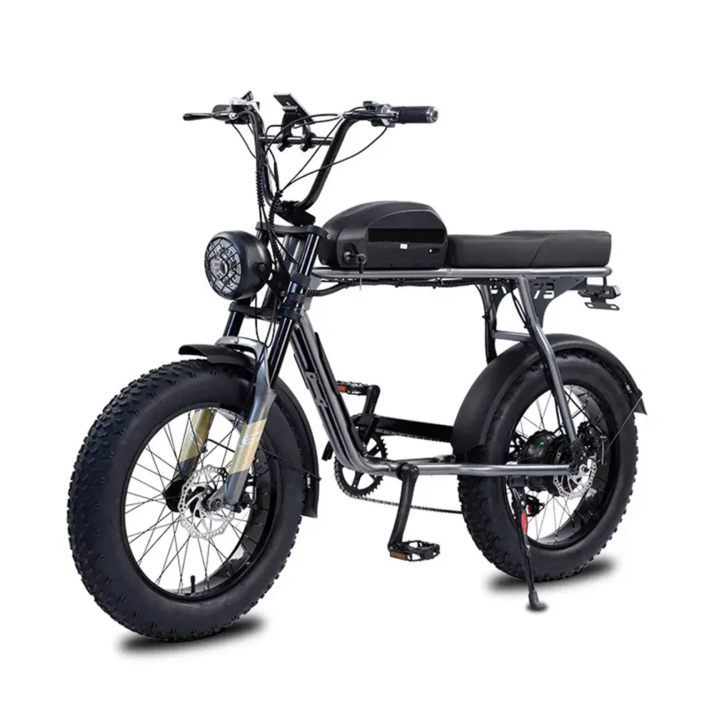 

EBIKE Super Power Long Seat Cheap Electric Bike 73 S2 Fat City E-bike 1000W Off Road Electric Bicycle