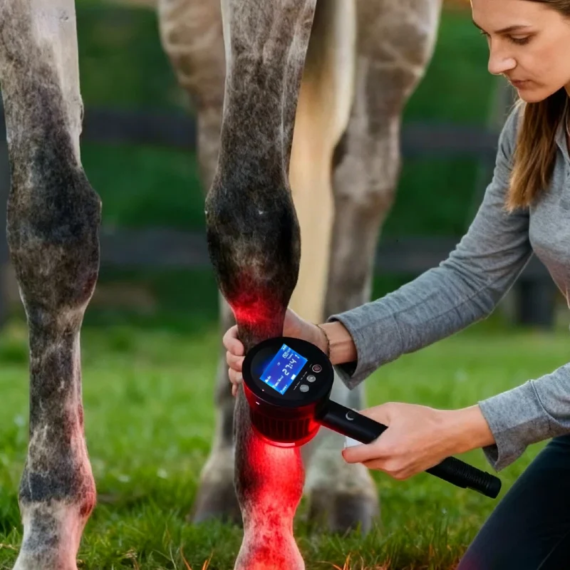 HLKGO 25 Diodes Dual Wavelength LLLT Laser 650nm 808nm for Chronic Pain Arthritis Stiffness Relief