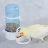 Bird Water Drinker Feeder Container Automatic Pet Feeder Birdcage Hanging Bowl Water Bottle Parrot Drinking Water Food Dispenser 4