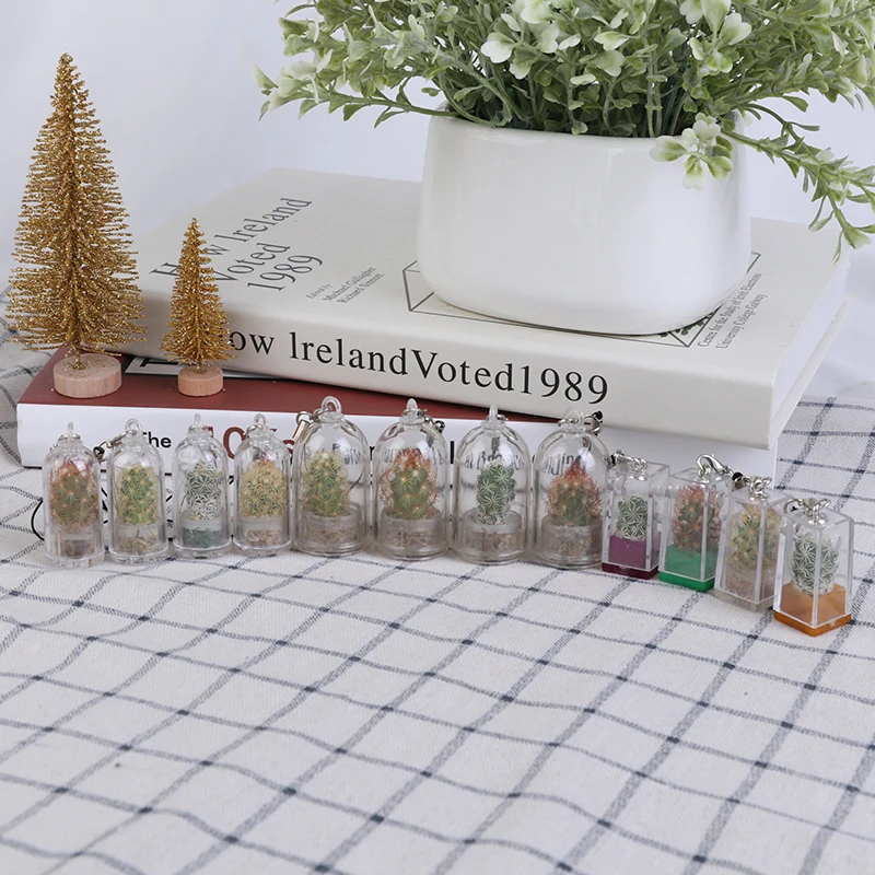 DIY Cactus Miniature Succulent Cactus Terrarium Wearable Necklace Live Succulent Plant Pendant Random Style 2