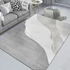 Minimalism Rooms Decoration Carpet Light Grey Living Room Carpets Hall Sofa Large Area Rug Bedroom Cloakroom Floor Mat Anti Slip 3