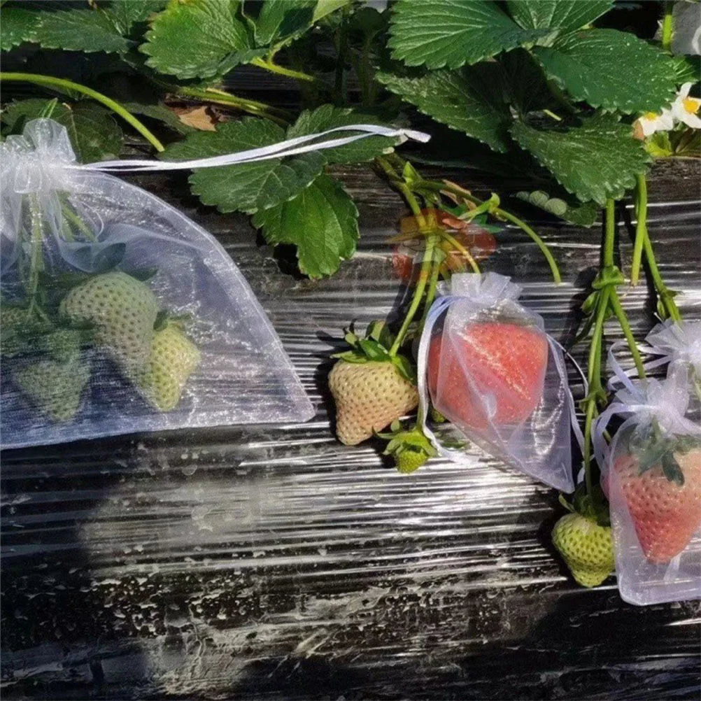

50 Pcs Fruit Bird Proof Bag Garden Netting Fruits Mesh Bags for Vegetables Protection Drawstring Trees Bagging Cover