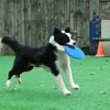Multicolor Dog Frisbeed Toy Pet Dog Outdoor Game Flying Discs Trainning Interactive Toys Bite Resistant Flying Disc Pet Supplies 3