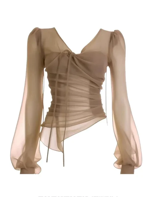 long sleeve mesh blouse