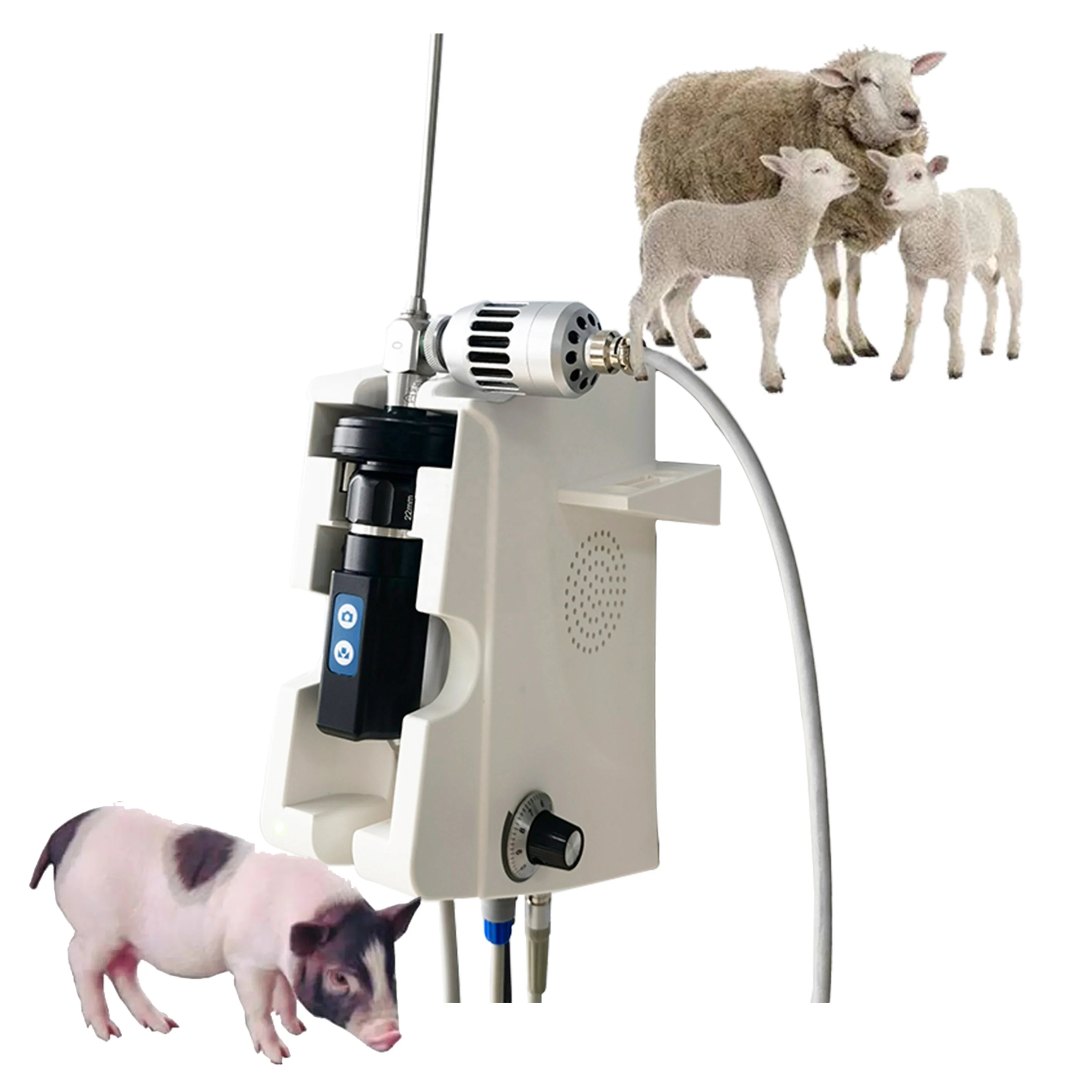 

Animal Veterinary Endoscopy Machine Usb Medical Endoscope Camera Equipment For Pig Cattle Horse Ent Examination Surgery