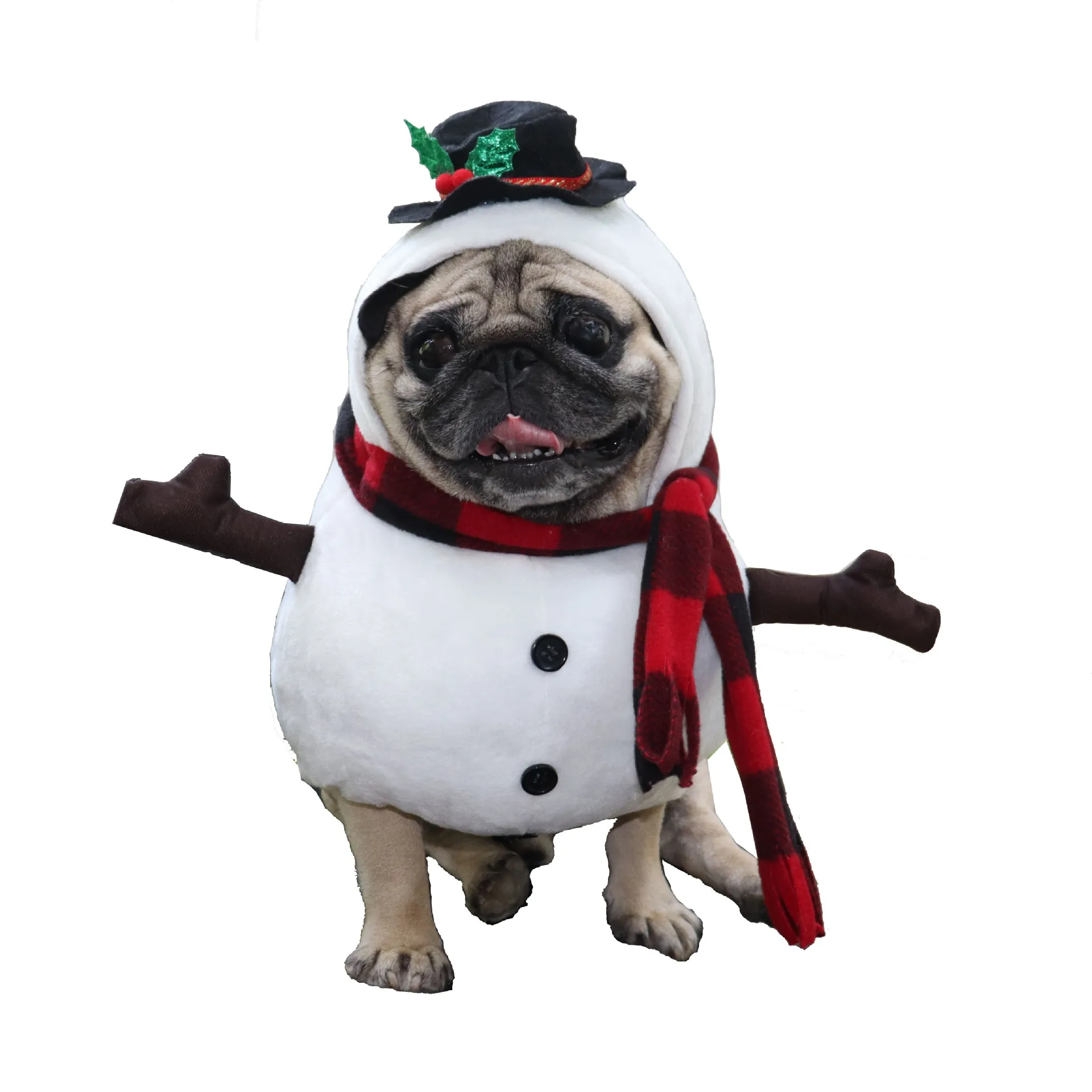 Santa Snowman Pet Costume 1