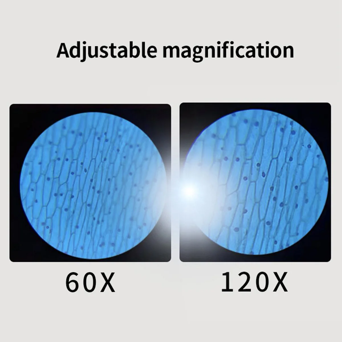 Handheld Microscoop Kit 60-120x Pocket Microscoop Batterij Aangedreven Handheld Mini Microscoop Met Led Light Draagbare Microscoop