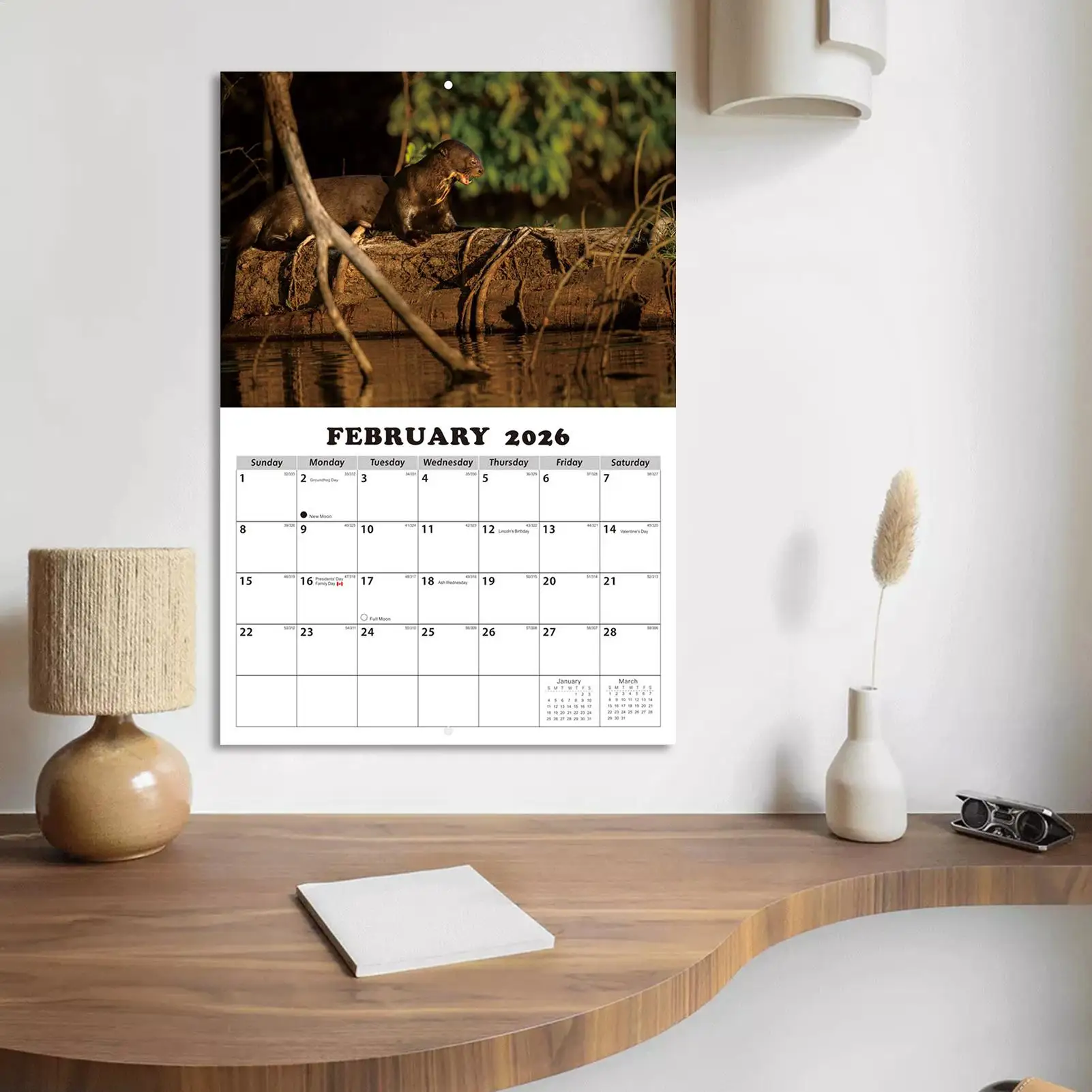 Calendar For Wall English Schedule Planner Wall Mount Month Calendar For Students Kids Teens Adults Teachers Dining Room