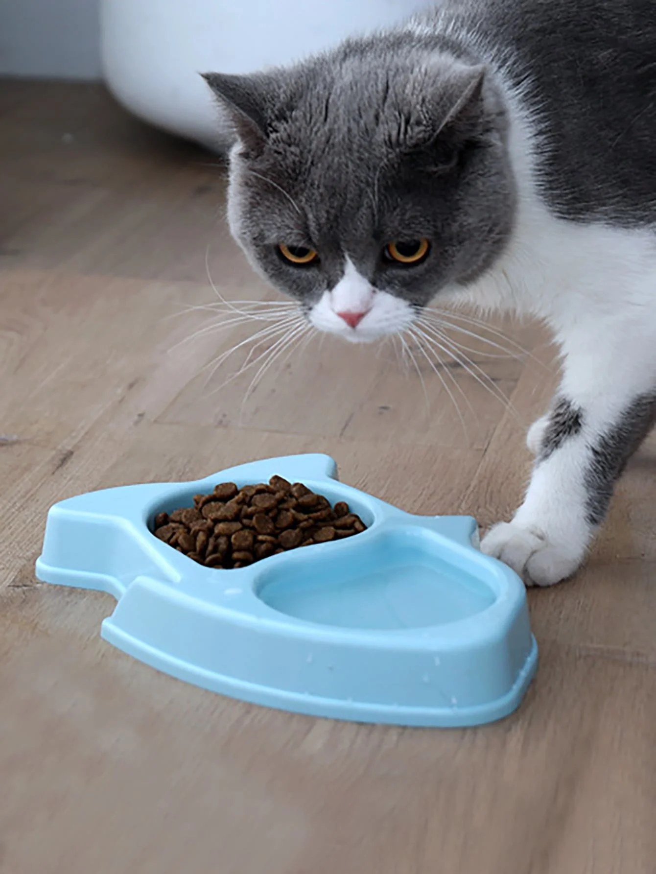 1pc-Pet food bowl with partition bowl anti slip, pet feeding bowl suitable for small and medium-sized dogs and cats