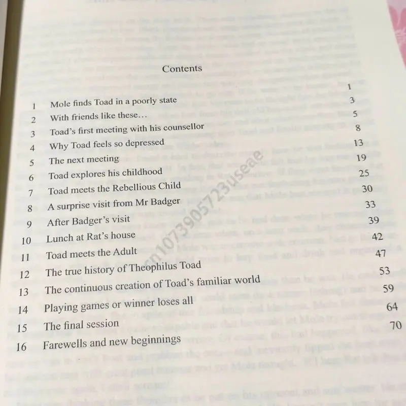 Рисунок 2 - Английский Оригинальный совет лягушкам: