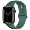 40 pine green