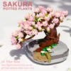 Sakura Potted Bouquet Building Blocks Plant Bonsai Succulent Model Bricks Ornaments Children's Educational DIY Toy Holiday Gifts 1