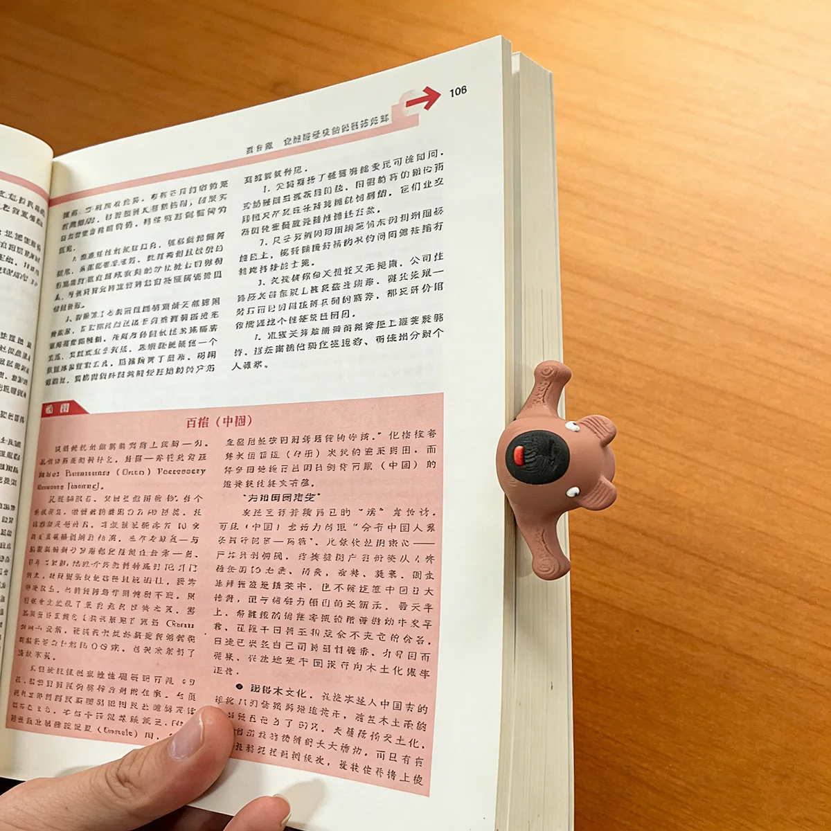 Capybara Bookmark: Adorable Animal Page Marker and Charming Gift