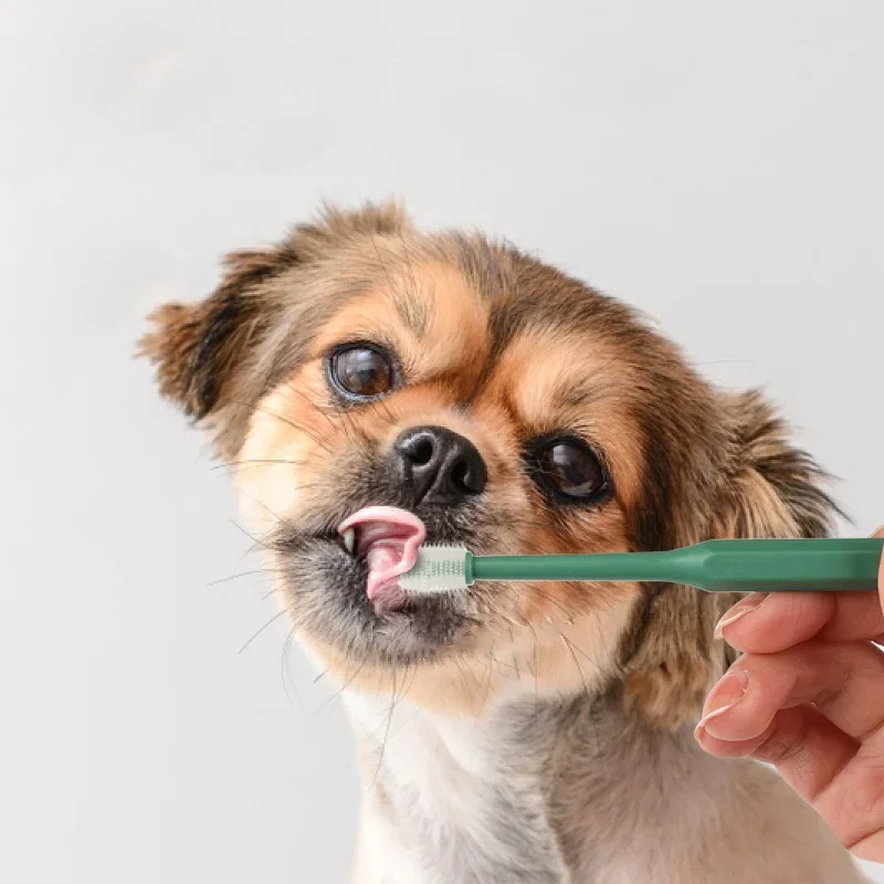 Soft Hair Mouth Cat Brush For Teeth Cleaning Grooming Cats Toothbrush Pet Products_voghion.com