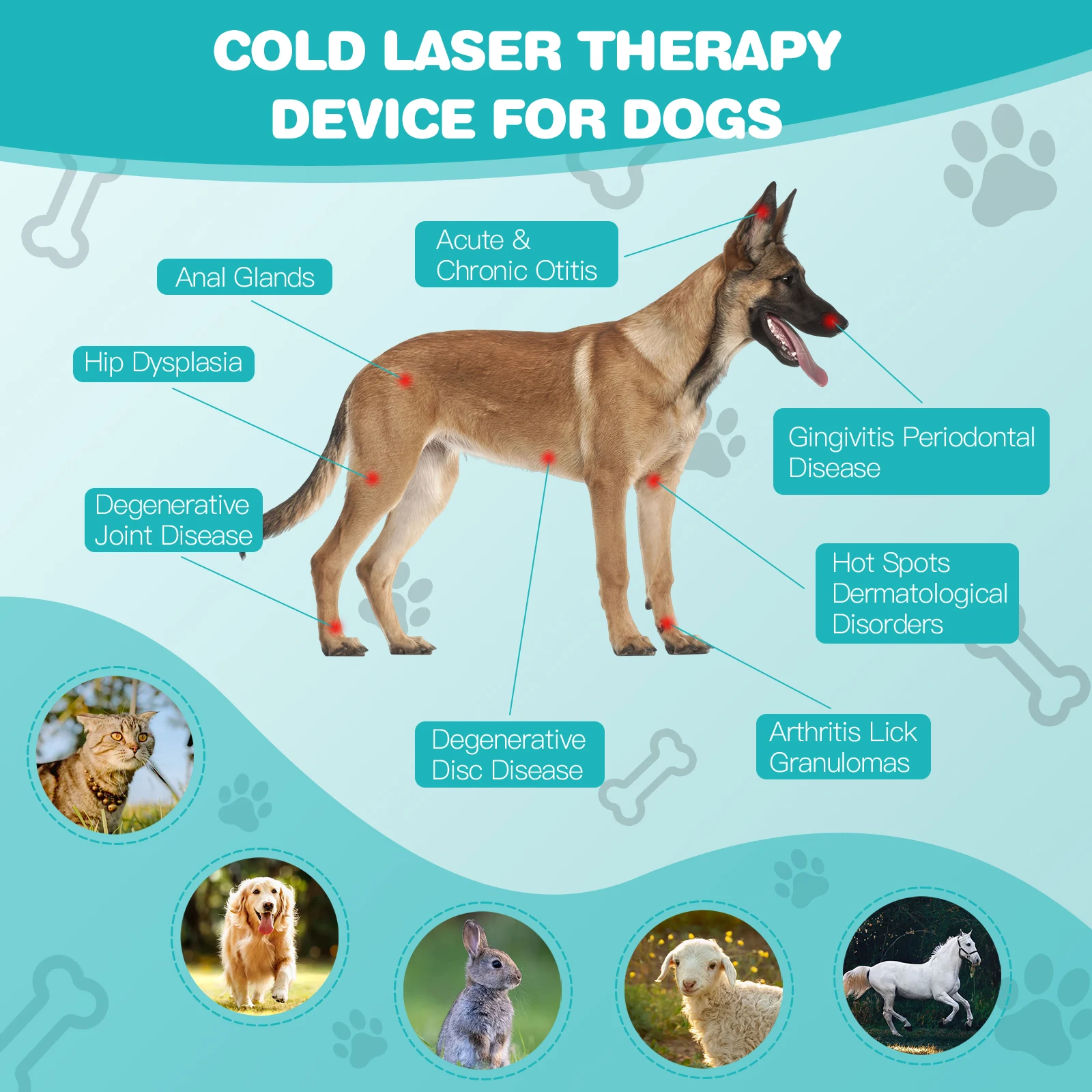 Cold Laser Therapy Vet Device 620nm Wavelength Handheld Red Light Therapy Pet for Arthritis Treatment Pain Relief&Skin Pain pet laser therapy device