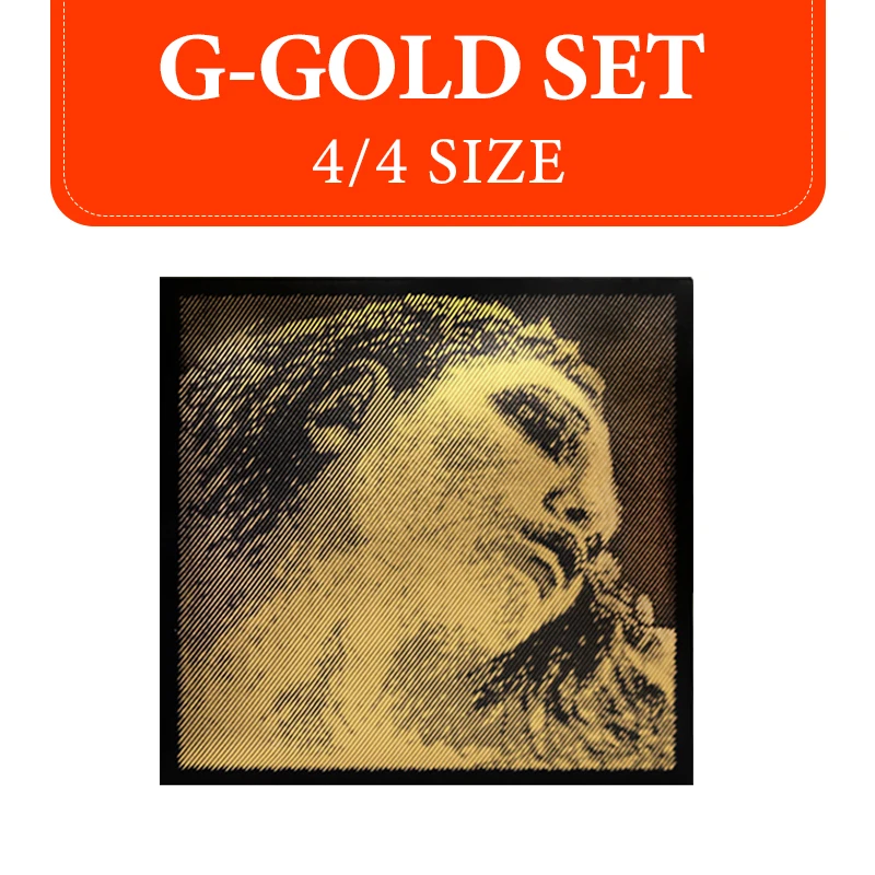 PIRASTRO EVAH PIRAZZI GOLD バイオリン弦 E-A-D-G フルセット 4