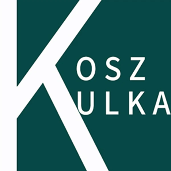 koszulka Dropshipping Store