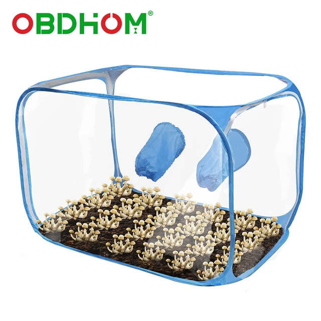 Gombatermesztés Táskák Csendes Légdoboz Hordozható Mikológia Füstölttető Szaporodási Állomások Gomba Termesztési Készlet 35,5X23,5X23,5 Hüvelyk