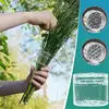 Spiral Ikebana Stem Holder Clear Spiral Flower Stem Stand DIY Floral Art Accessory Flower Vase Holder Ring for Party Wedding 1