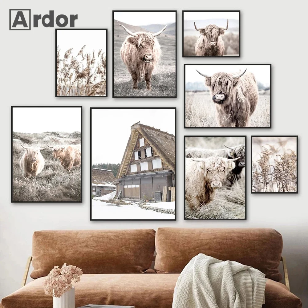 

Nordic Highland Cow Animal Art Print Grass Plant Poster Natural Landscape Canvas Painting Modern Wall Pictures Living Room Decor