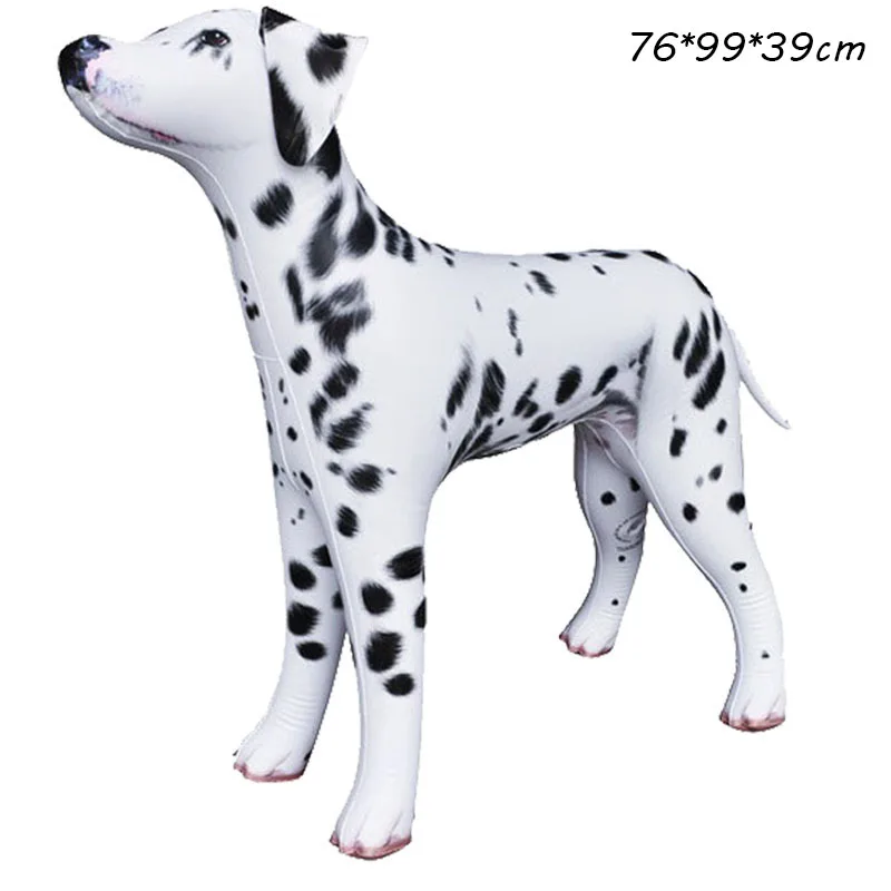 Sequestro Animali Al Parco Fattoria, La Replica Del Proprietario - Foto 6