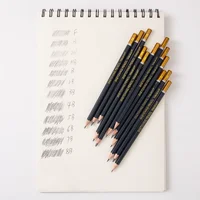12Pcs Professional Sketch Charcoal Pencils Set F/H/2H/HB/B/2B/3B/4B/5B/6B/7B/8B Writing Graphite Drawing Pencils Art Supplies 2