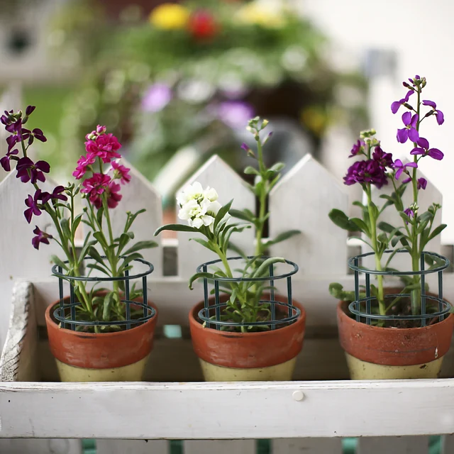 1/6 db Műanyag Növényi Tartóhalom Virágok Üvegházhatású Elrendezés Félkör Rögzített Tartó Beltéri Mászó Zárójel - Image 2