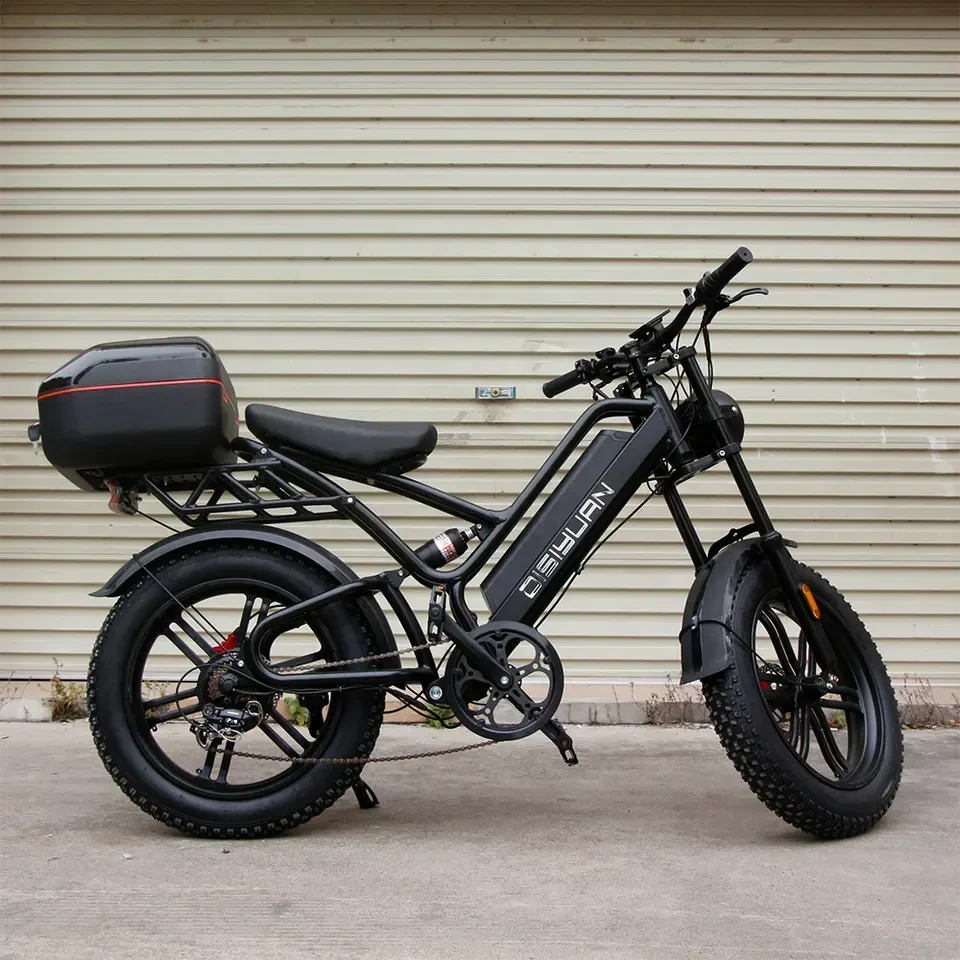 20 Inch Cargo Mtb Electric Bike 48V Fat Tire Electric Bicycle V20 Bike Mountain 1000w 500w Super S9
