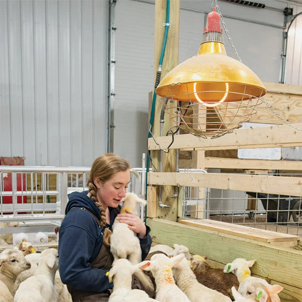 Livestock Poultry Breeding Lampshade Heating Lampshade 220V Insulation Thermal Insulation Equipment Breeding Supplies