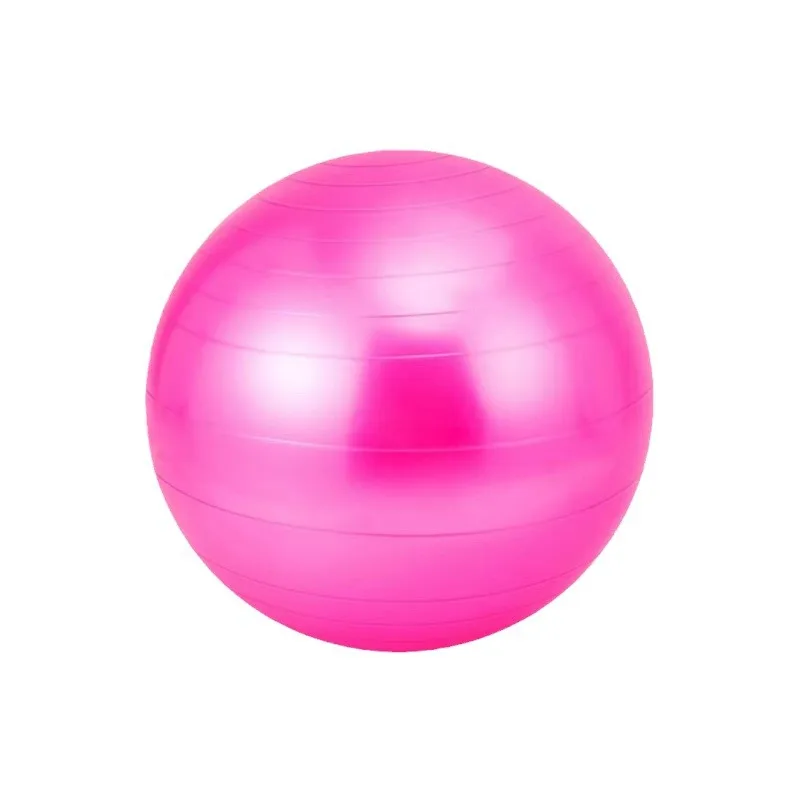 55cm Yoga Ball Exercise Gymnastic Fitness Pilates Balance Gym Indoor Training Core Yoga Ball Gymnastics Ball