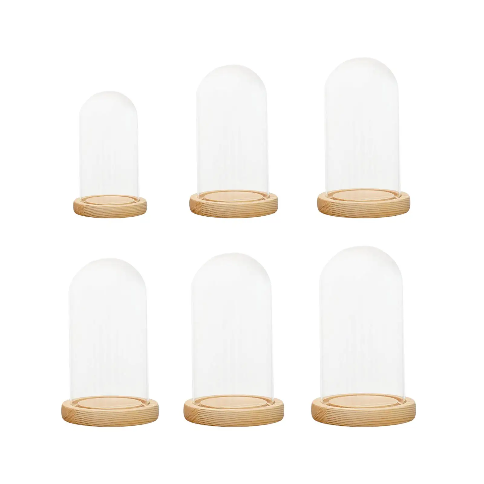 Glass Display Dome Cloche Bell Jar with Wooden Base Round for Dining Table Nightstands Home Decor