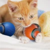 Cats Toy Ball Smart Electric Ball for Cats With Feather Teaser Intelligent Automatic Movement Active Scrolling Pet Toys Supplie 4
