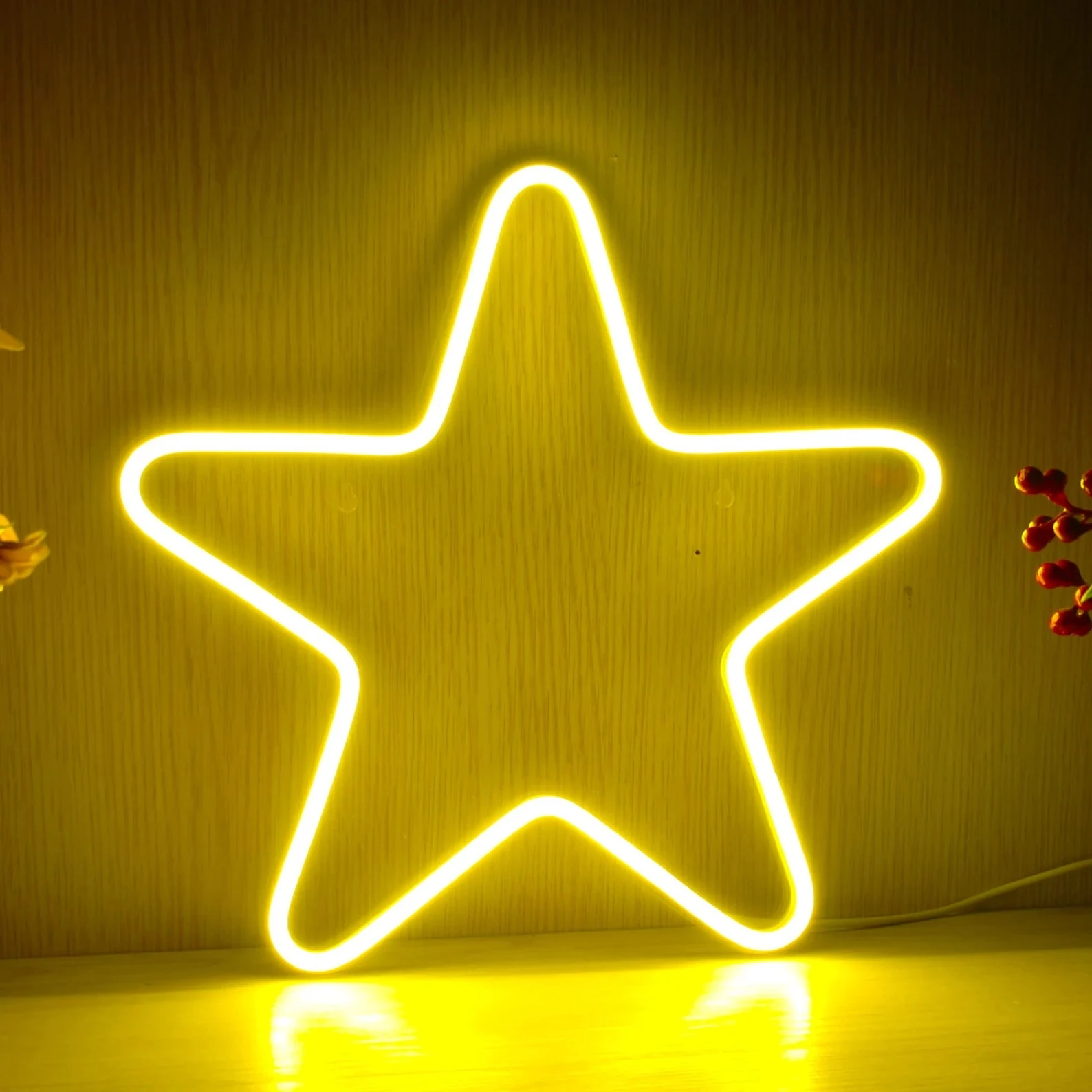 

Star Neon Sign USB Powered for Room Decor, LED Neon Light Dimmable Night Light for Kids Bedroom Wall Art Home Decor
