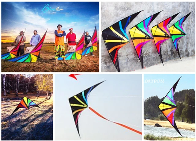 Cerf-volant Powerkite 2 Lignes Dragon - Envergure 240cm, Neuf, Marque HQ
