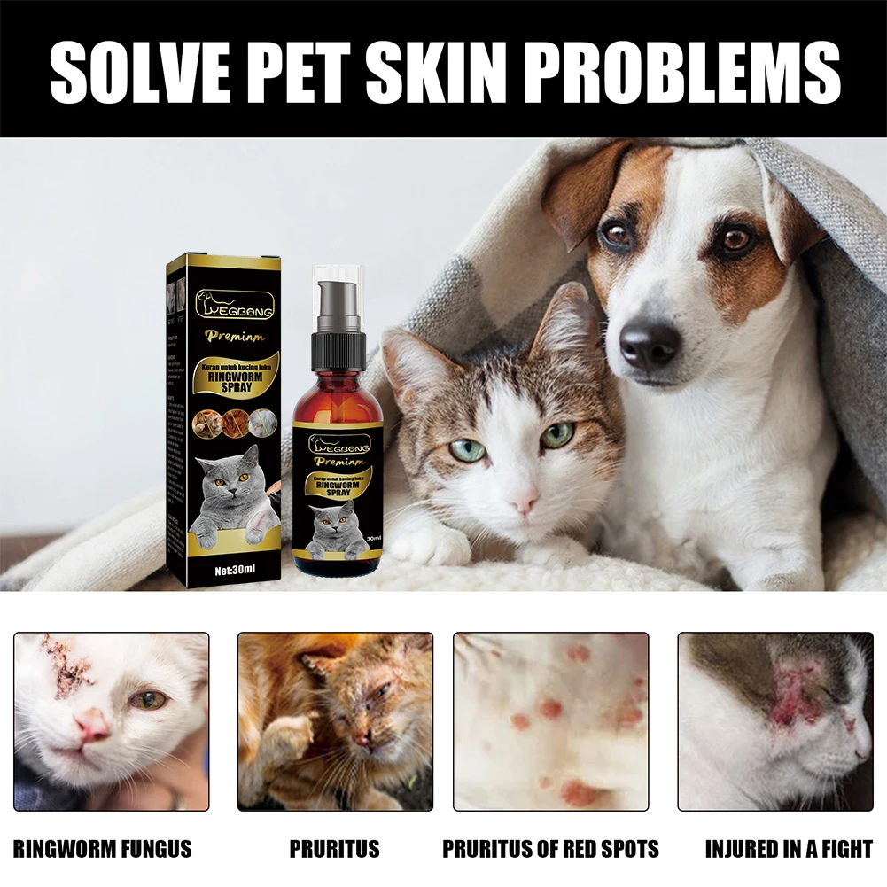 Ringworm Home Treatment For Cats corona.dothome.co.kr