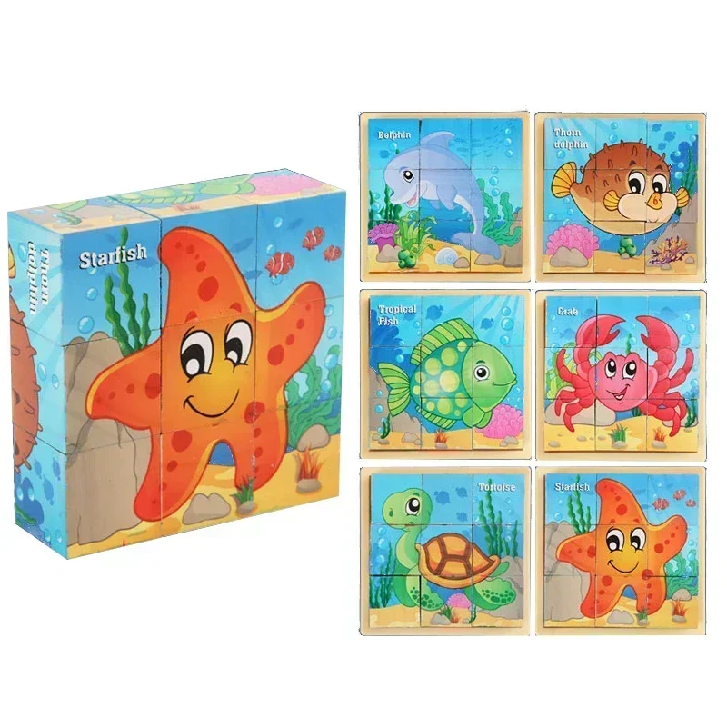 Ocean (No tray)