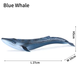Realistic Sea Life Figure Toy - Shark and Whale Ocean Animal (Blue Whale)