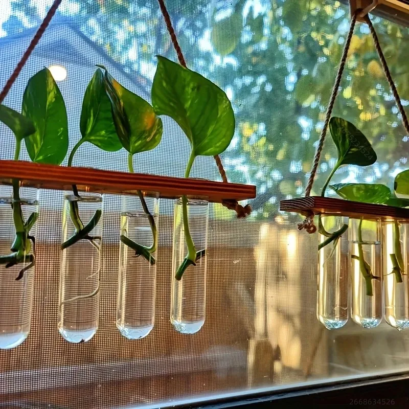 1/20pcs Transparent Acrylic Tube Hydroponic Flower Pots Vases Hydroponic Tubes