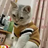 Pet Dog Knitted Sweater Clothes for Small Medium Dogs,Winter Warm Padded V-neck Dog School Uniform,Chihuahua French Bulldog Coat 5