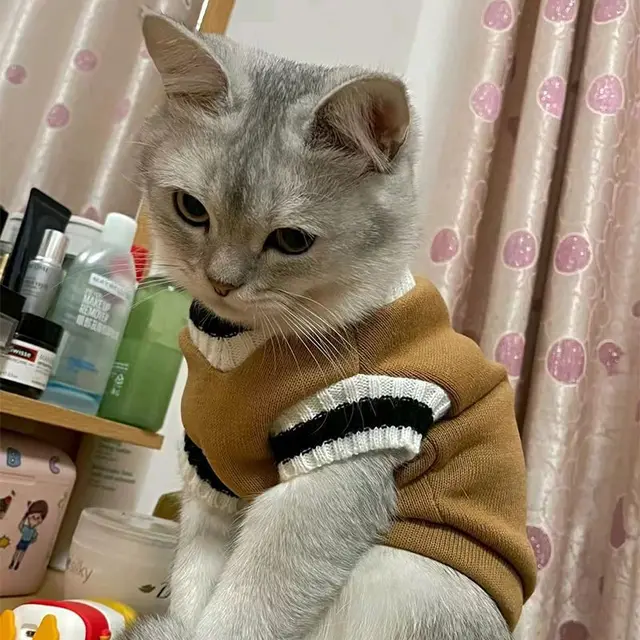 Pet Dog Knitted Sweater Clothes for Small Medium Dogs,Winter Warm Padded V-neck Dog School Uniform,Chihuahua French Bulldog Coat 5