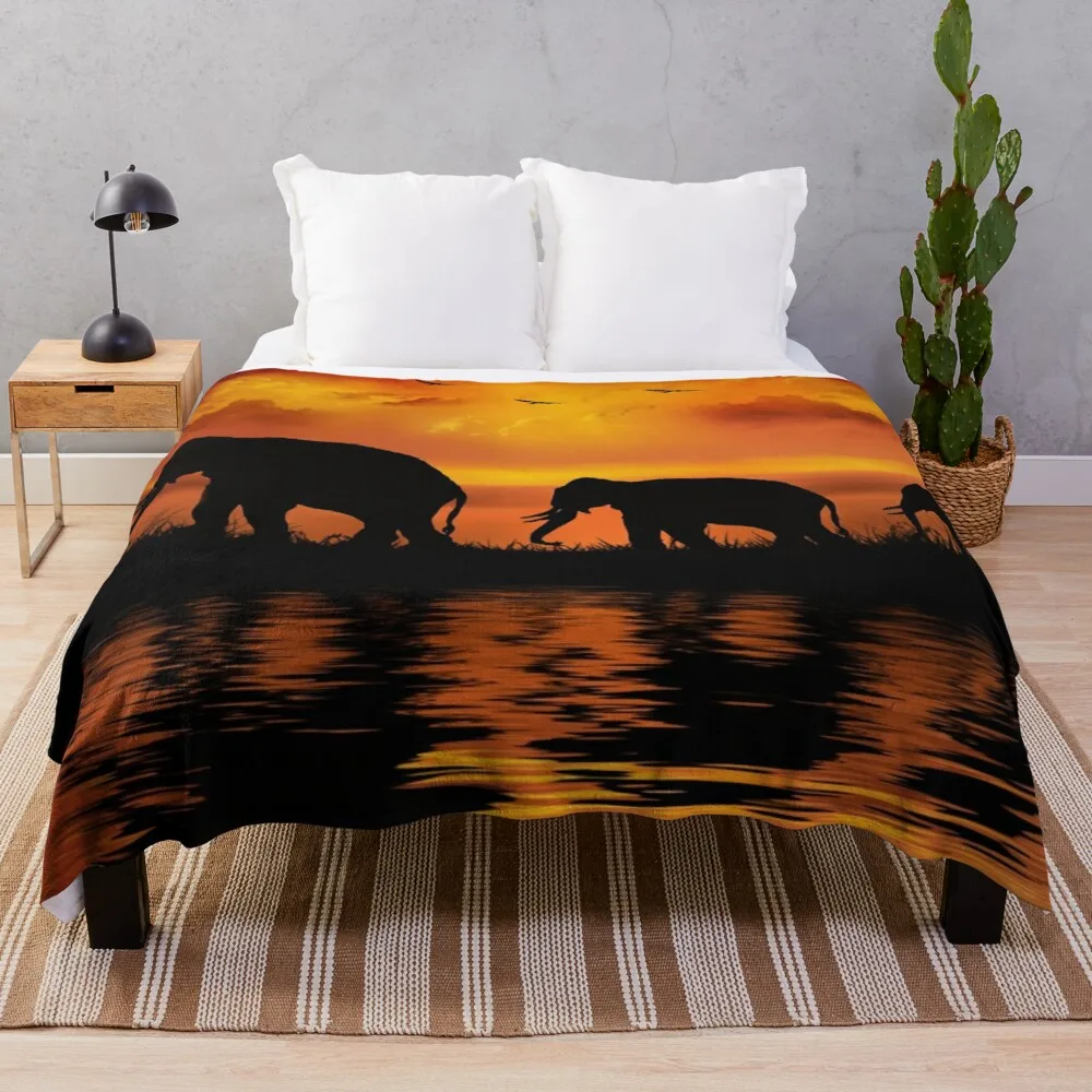 �ڳ��� ��� ������ī �ڳ��� ��ȣ�� ��� ���� �ε巯�� ���� ��� ��Ƽ�� �ڳ��� ���� ��� ���� ���� ����