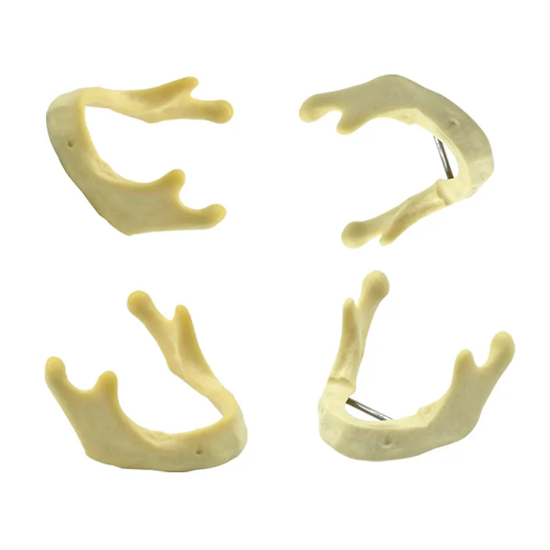 

Модель стоматологического импланта, нижняя челюсть, стоматологический имплантат, тренировочный инструмент