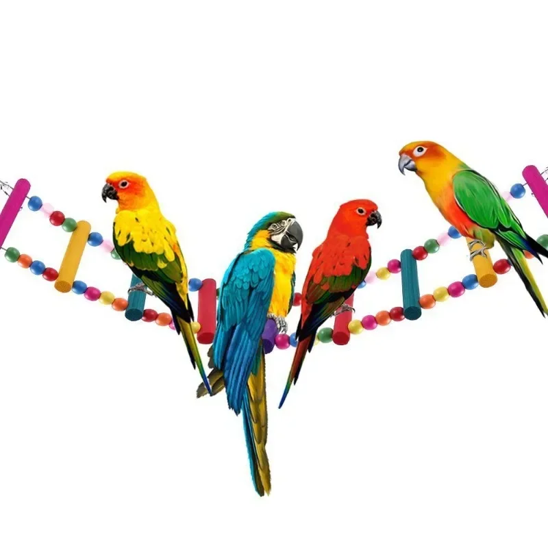 Bird Toys Set Swing Chewing Training Toys Small Parrot Hanging Hammock Parrot Cage Bell Perch with Ladder Pet Supplies 1pc