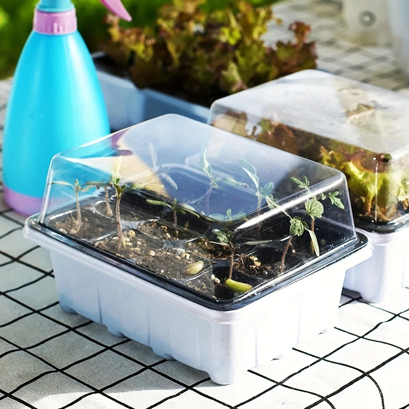 Plastic Seedling Box With 12 Holes 3/6pcs With Sowing And Hole Tray seed starter tray,seedling tray