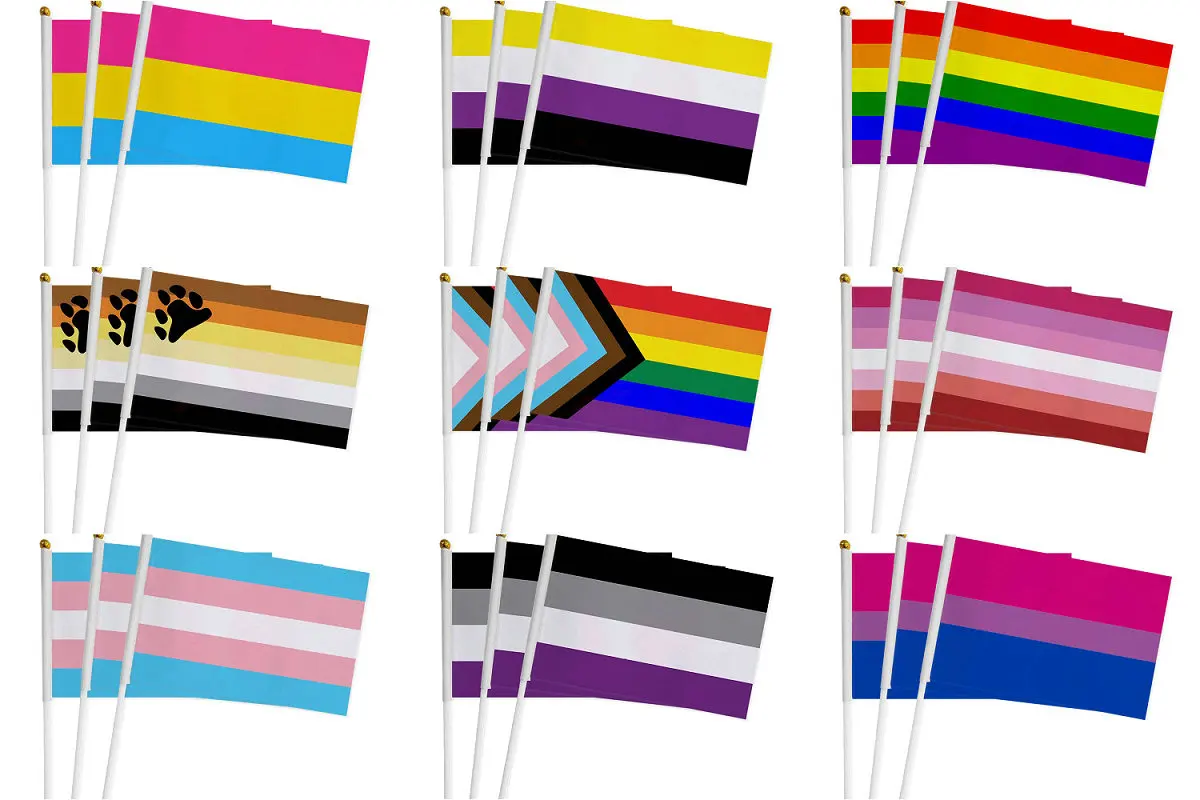 custom hand flag 100pcs 14x21cm dream smp Gay Lesbian Homosexual Bisexual LGBT Pride Customized rainbow |