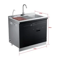 Cost-effective Home Smart Touch Screen Built-in Cabinet Freestanding Dishwasher With Sink 1
