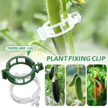100-200PCS Plant Support Clips Plastic Ties Trellis Stake Clips Garden Veggie Tomato Greenhouse Holder For Garden Accessories